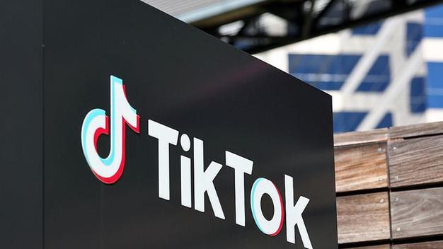 Tiktok Users Share Efficient Working Methods Benefits For Professionals 