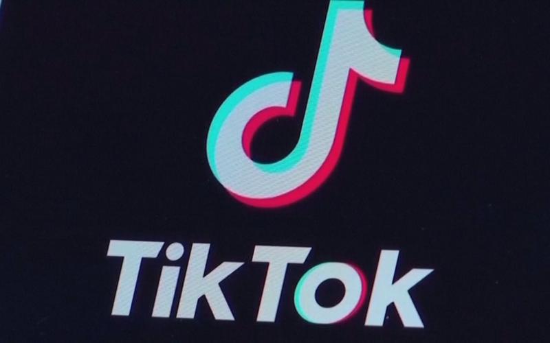 Tiktok Users Initiate Green Technology Life, Environmental Innovation 