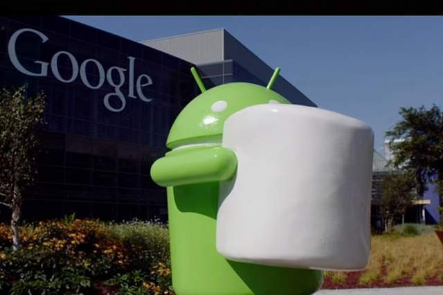 Google Pixel phones support 