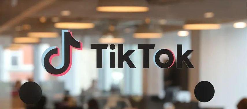 TikTok Launches “TikTok Linguistics” for Language Lovers 